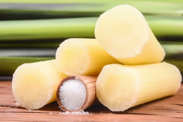 煮甘蔗的功效与作用(图2) 煮甘蔗的功效与作用