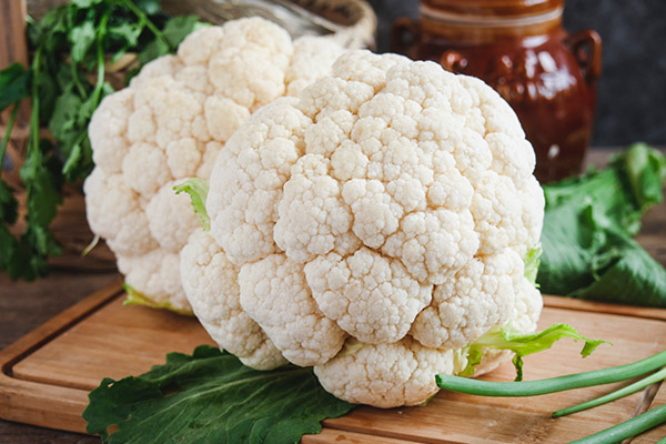 冬天吃什么菜最好菜谱