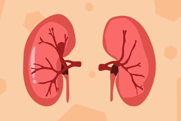 冬季怎么养肾补肾(图2) 冬季怎么养肾补肾