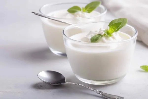 益生菌的功效与作用、禁忌和食用方法