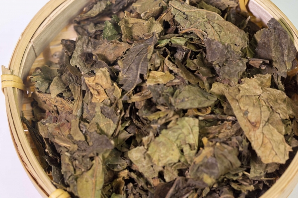 桑叶的功效与作用、禁忌和食用方法