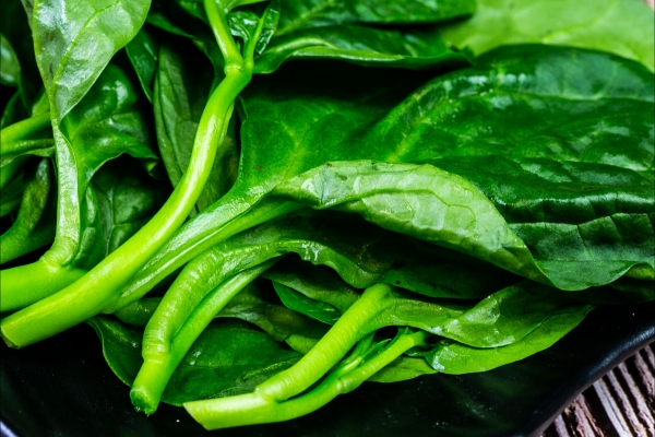 木耳菜的功效与作用、禁忌和食用方法