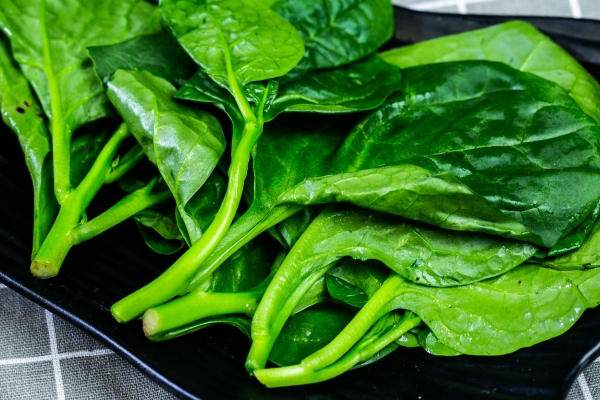 木耳菜的功效与作用、禁忌和食用方法