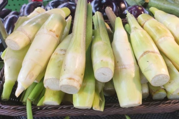 茭白的功效与作用、禁忌和食用方法