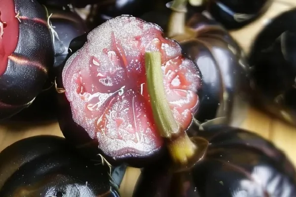 红果参的禁忌(图1) 红果参的禁忌