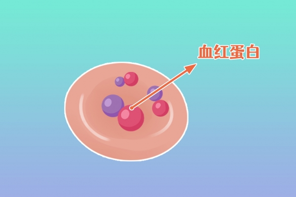血红蛋白浓度偏高是什么意思