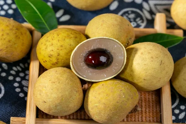 桂圆干是热性还是凉性