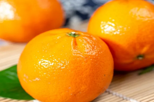 砂糖橘糖分高吗