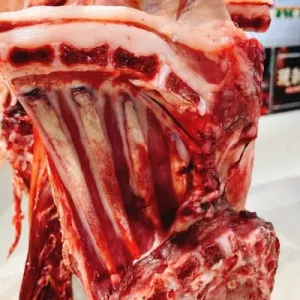 羊肉和什么一起炖最好