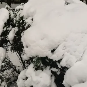 冬天滋补食物有哪些