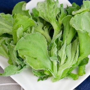 开心果的功效与作用、禁忌和食用方法