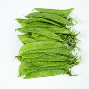 茉莉花茶的功效与作用、禁忌和食用方法
