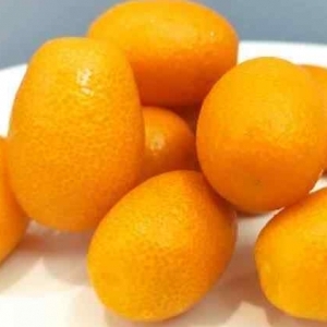 油菜的功效与作用、禁忌和食用方法
