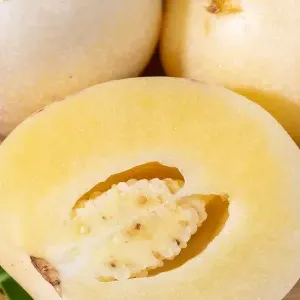 红果参的禁忌