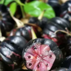 豆腐为什么不能和羊肉一起吃