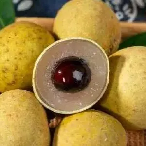 流感不能吃什么