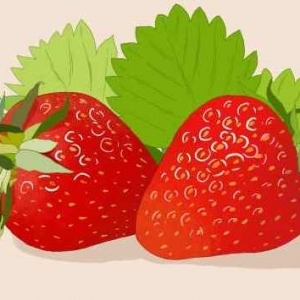 尿酸高能吃草莓吗