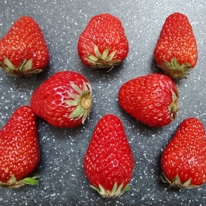 hpv通过唾液传播吗