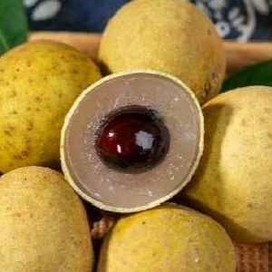 吃桂圆有什么好处