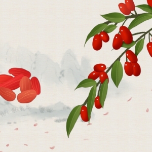 桂圆和枸杞子泡水喝有什么功效
