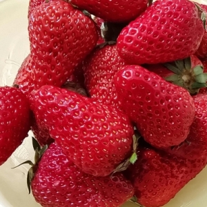 来大姨妈能吃草莓吗