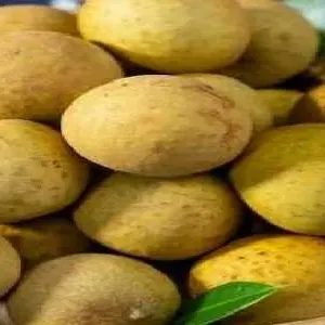 板栗和牛肉可以一起吃吗