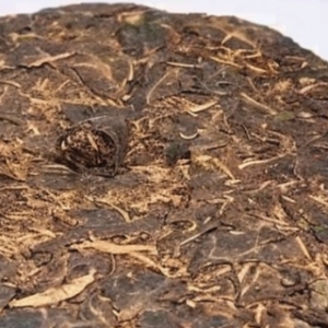 冬天洗澡水温太高有什么危害