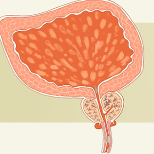冬天可以吃沙拉吗